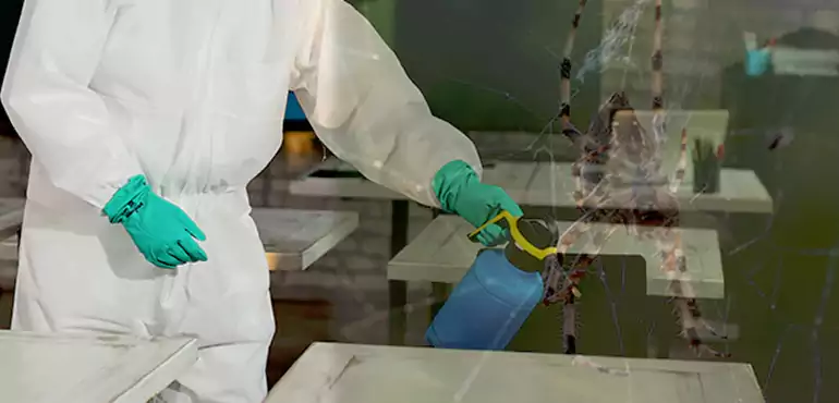 Why Buyers Still Want Homes With Pest Infestations in Austin, TX?