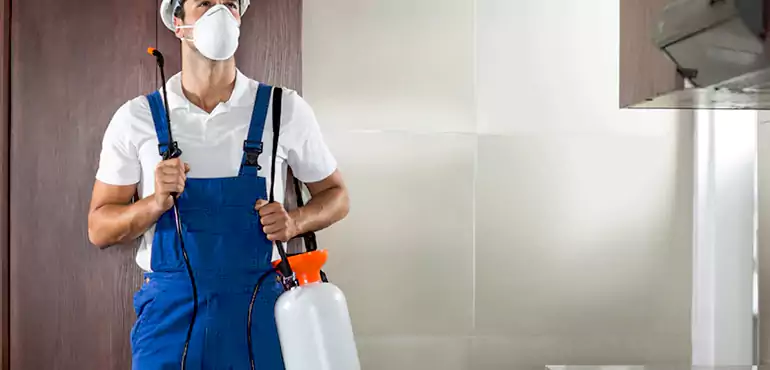 Why Austin Homeowners Choose Us When Pests Make Selling Difficult